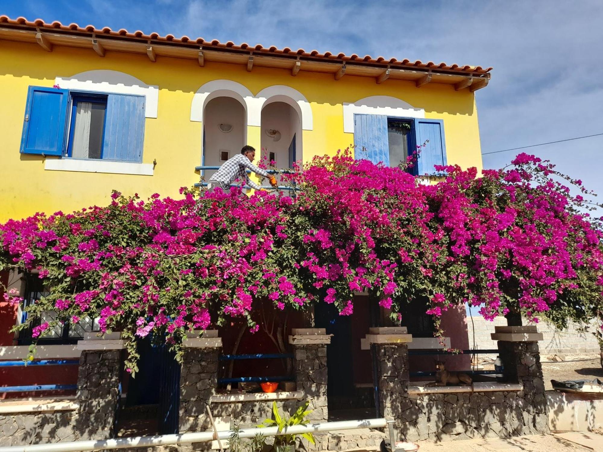 Casa Torre Hotel Palmeira Eksteriør billede